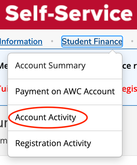 Account Activity