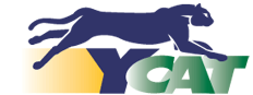 YCAT Logo
