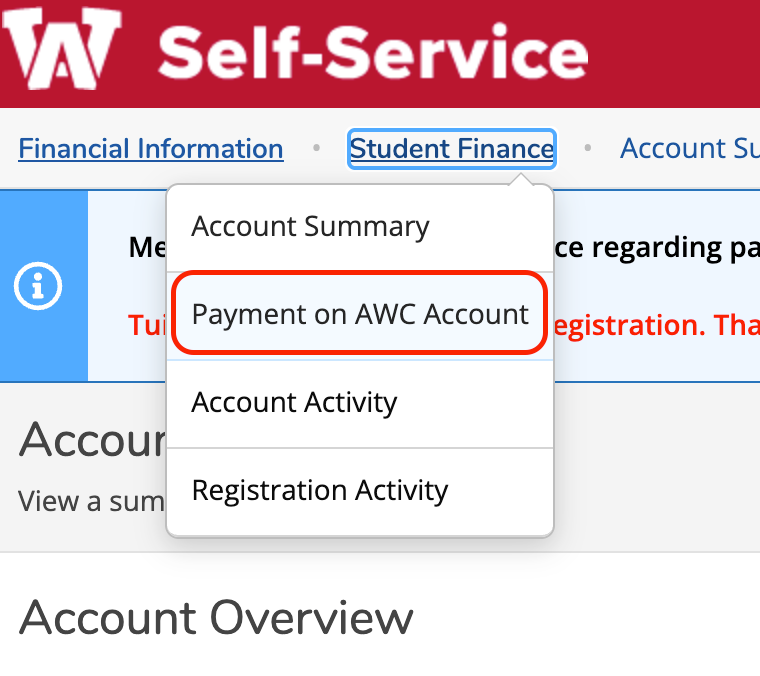 Account Activity
