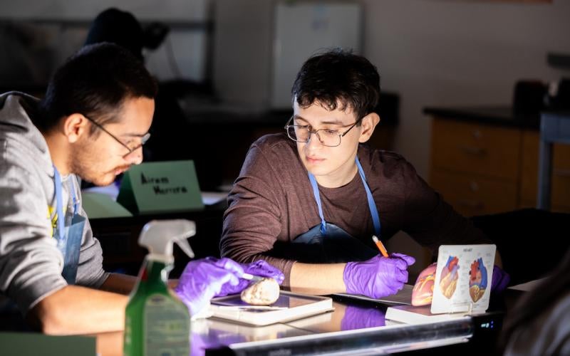 AWC students gain hands-on experience in a biology lab.