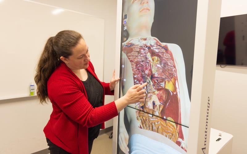 Staff member demonstrates the Anatomage Table in action at AWC.