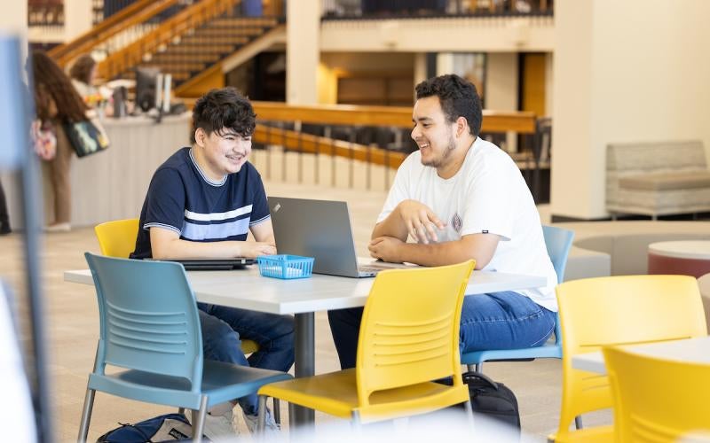 Two students work together while sharing a laptop.