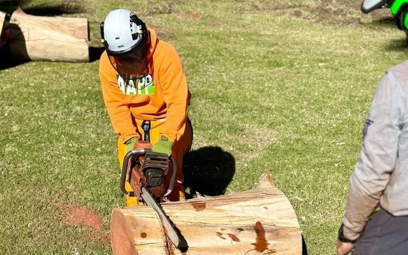 AAPP student wearing protective gear uses a chain saw to saw into a log. Photo courtesy of the AZ Community Tree Council.