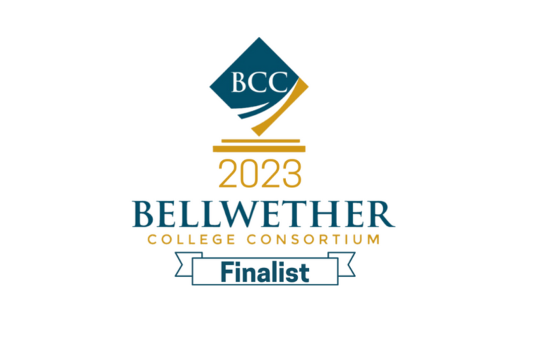 Bellwether Finalist 