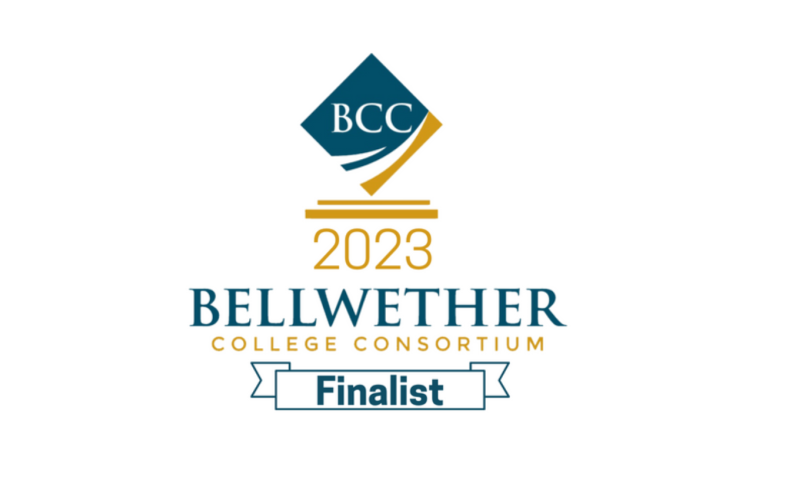 Bellwether Finalist