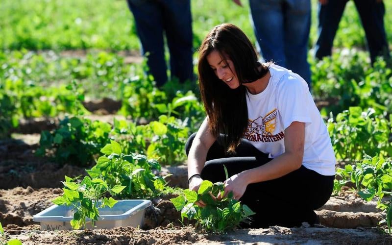 AWC receives $500K federal grant for agricultural workforce training