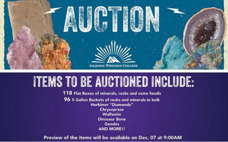 Rock Auction to benefit AWC Geosciences