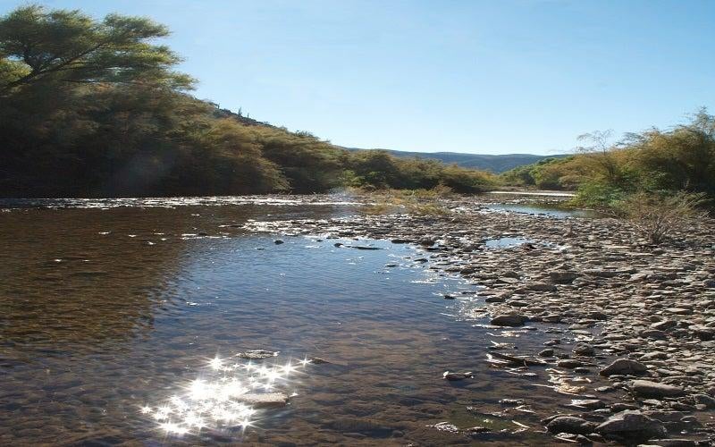 Noted nature writer to speak on campus