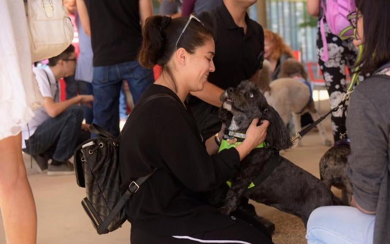 Pet-A-Pup Stress Relief event to help students gear up for finals week