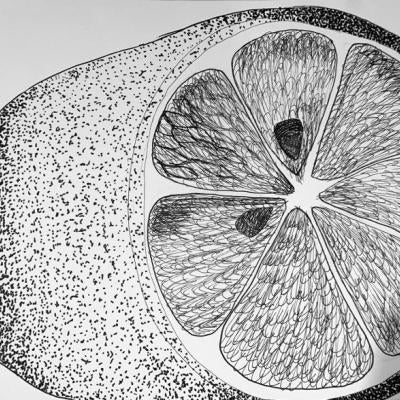 Drawing of a fruit
