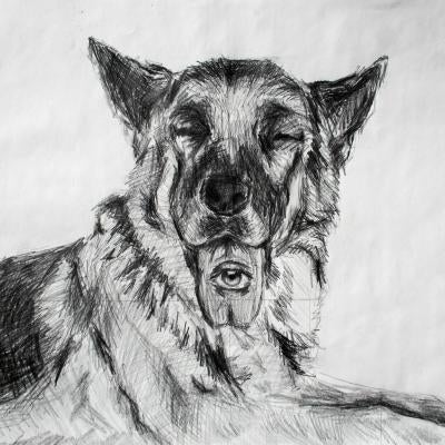 drawing of a panting dog, an eye on its tongue