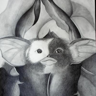 Drawing of Gizmo