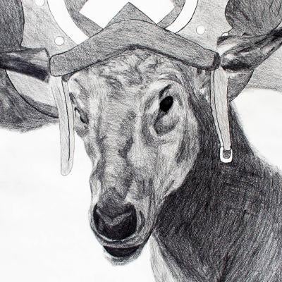 graphite drawing