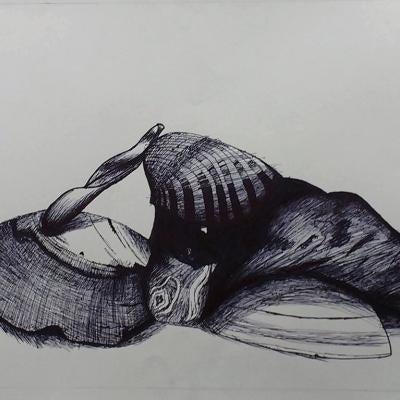 drawing of seashells
