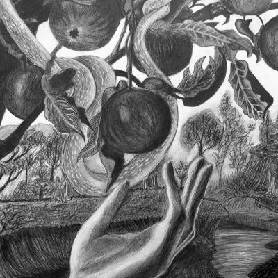 graphite drawing