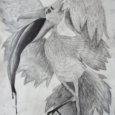 drawing of a bird eating a fish