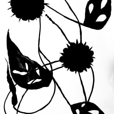 Drawing of shapes