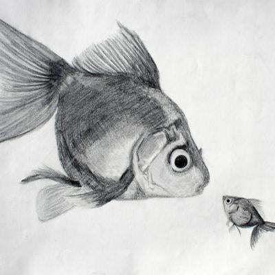 graphite drawing