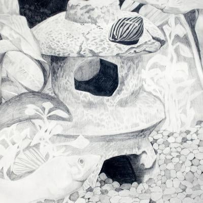 graphite drawing