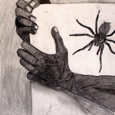 graphite drawing