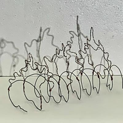 Wire Sculpture