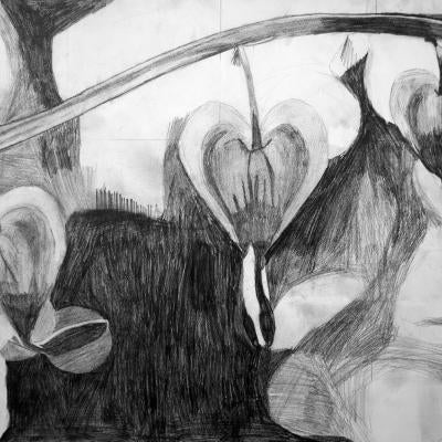Drawing of flowers