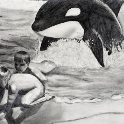 Drawing with children and orca