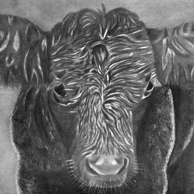 Drawing by Sasha Hirujo