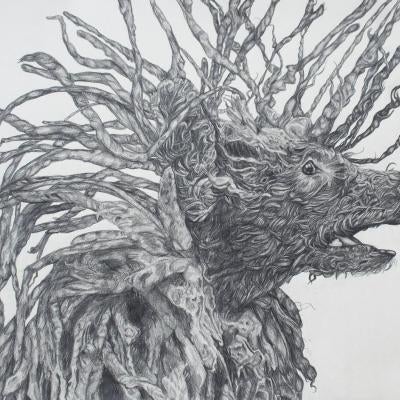 Drawing of a dog