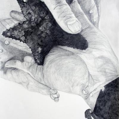Drawing of a starfish