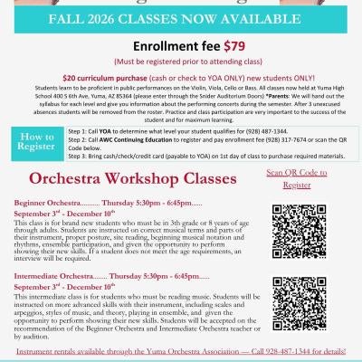 Beginner Orchestra 