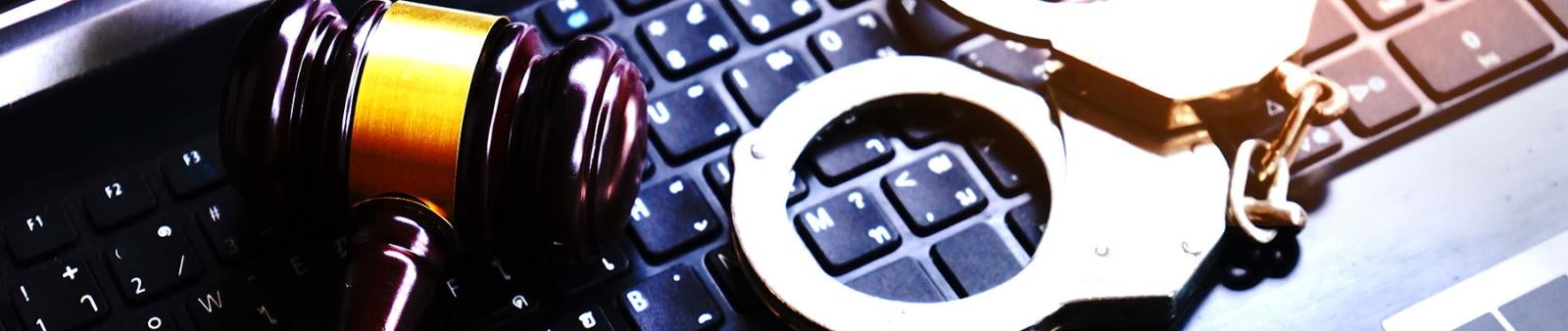 Homeland Security Banner Image