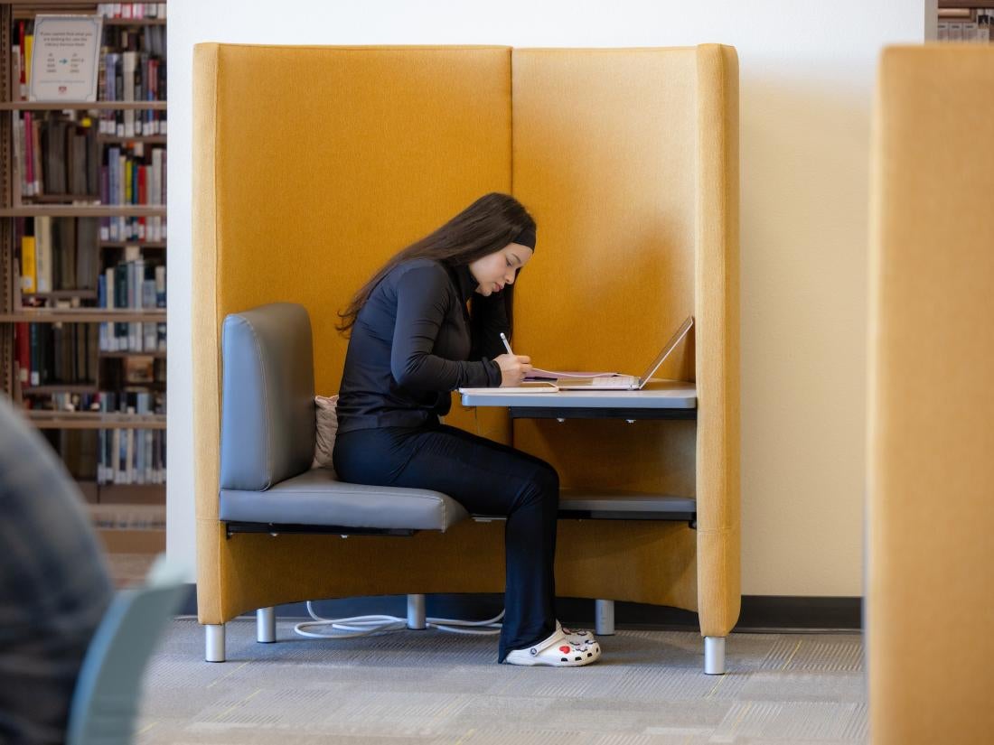 Student Studying in the Library