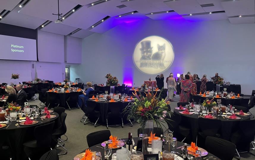 Furball Event