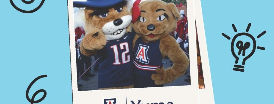 UA Application workshop.