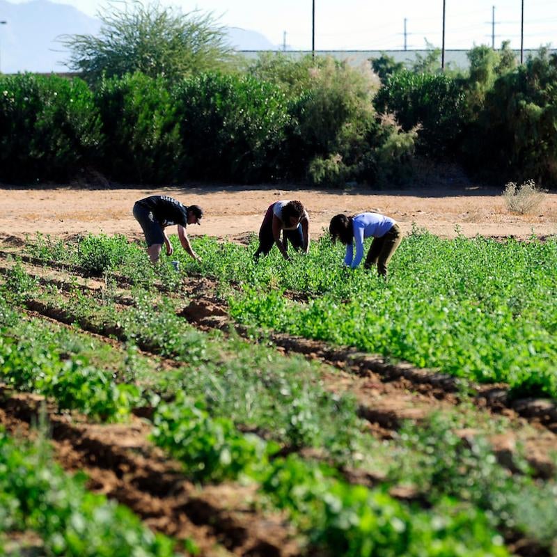 Agriculture Science Students