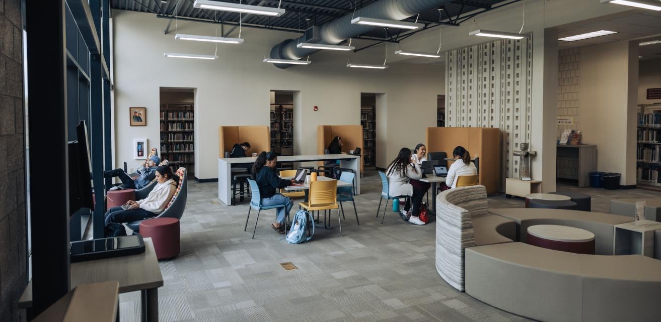 Students in the Library