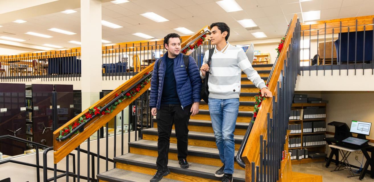 Students in the Library