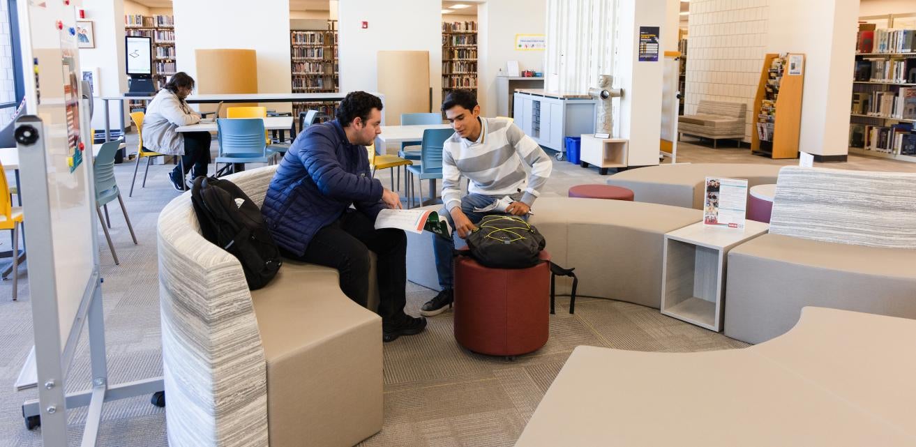 Students in the Library