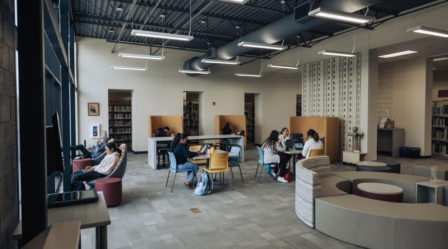 Students in the Library